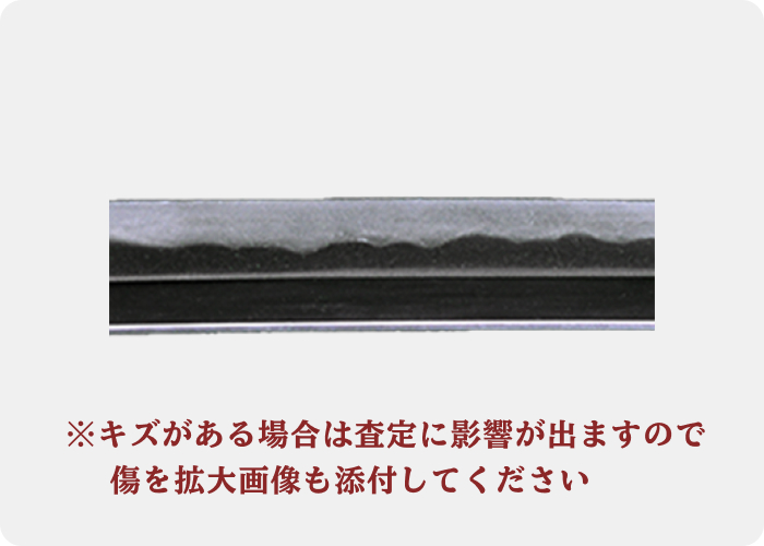 刃の拡大画像